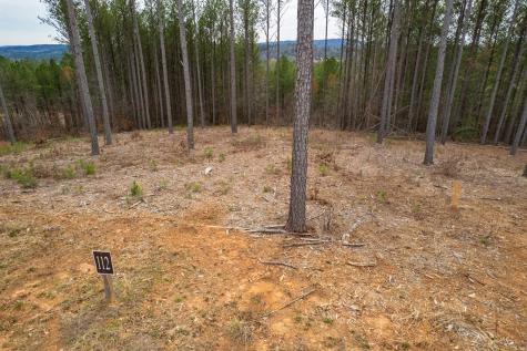 Lot 112 Blalock Mountain Road Talking Rock GA 30175