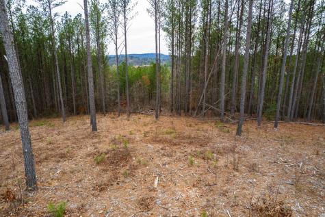 Lot 112 Blalock Mountain Road Talking Rock GA 30175