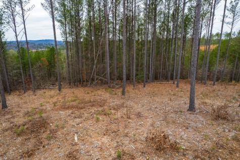 Lot 112 Blalock Mountain Road Talking Rock GA 30175