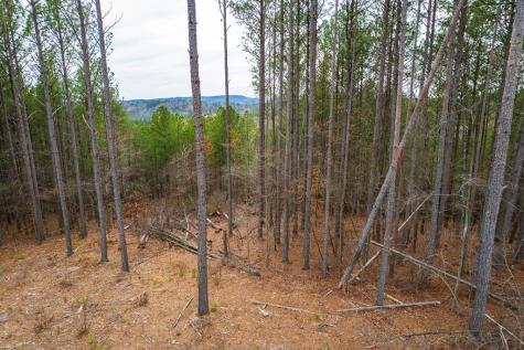 Lot 112 Blalock Mountain Road Talking Rock GA 30175