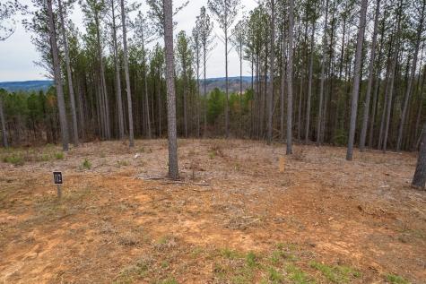 Lot 112 Blalock Mountain Road Talking Rock GA 30175