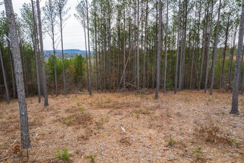 Lot 112 Blalock Mountain Road Talking Rock GA 30175