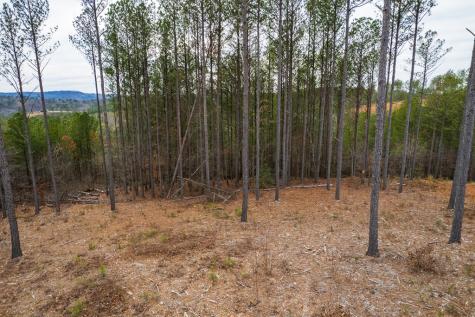Lot 112 Blalock Mountain Road Talking Rock GA 30175