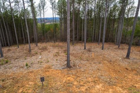 Lot 112 Blalock Mountain Road Talking Rock GA 30175
