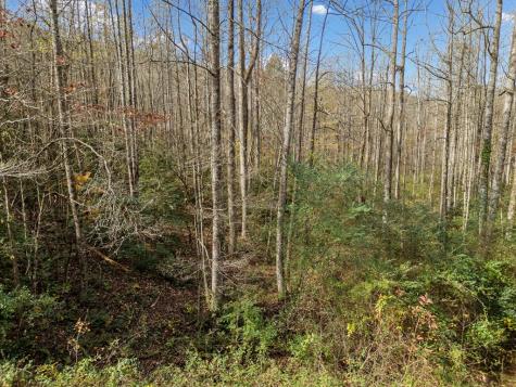 Lot 7 Highpoint Ridge Road Ellijay GA 30536