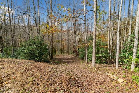 Lot 7 Highpoint Ridge Road Ellijay GA 30536