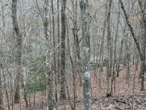 0 Dawn Court Ellijay GA 30540
