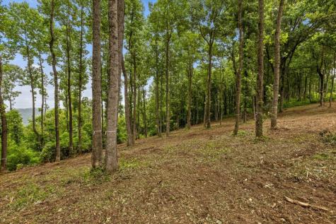 Lot 374 N Mountain Ridge Road Talking Rock GA 30175