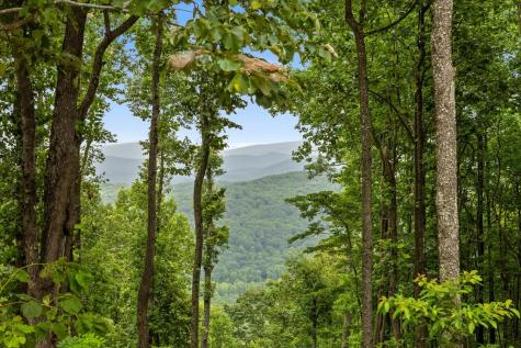 Lot 374 N Mountain Ridge Road Talking Rock GA 30175