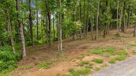 Lot 374 N Mountain Ridge Road Talking Rock GA 30175