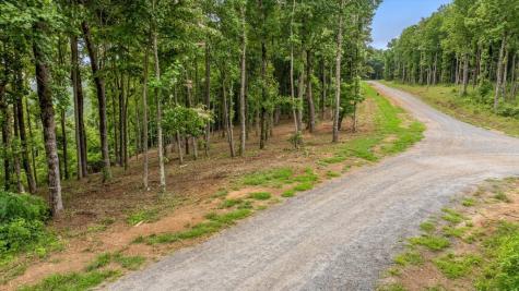 Lot 374 N Mountain Ridge Road Talking Rock GA 30175