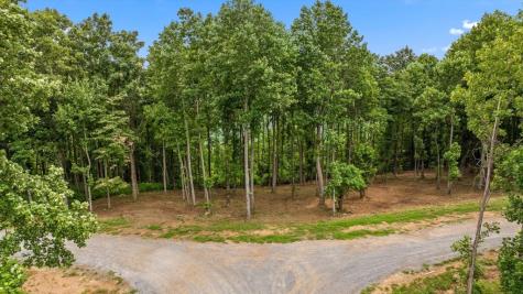 Lot 374 N Mountain Ridge Road Talking Rock GA 30175