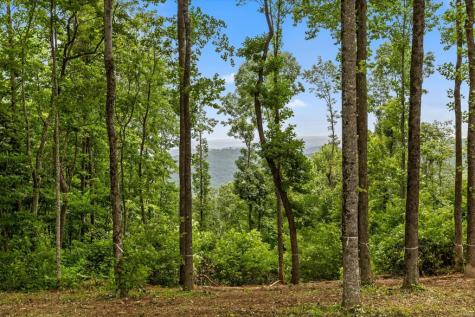 Lot 374 N Mountain Ridge Road Talking Rock GA 30175