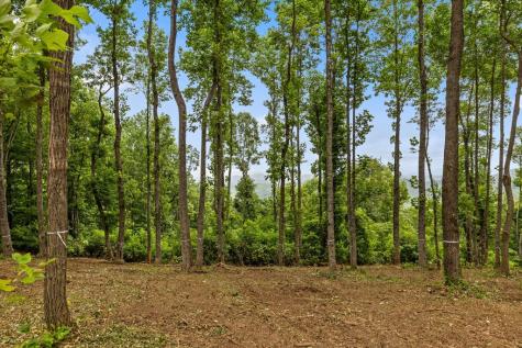 Lot 374 N Mountain Ridge Road Talking Rock GA 30175