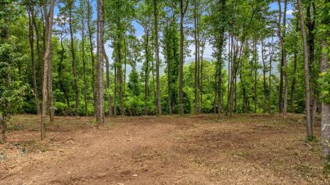 Lot 374 N Mountain Ridge Road Talking Rock GA 30175