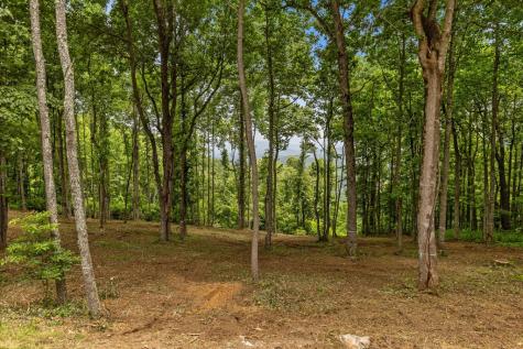 Lot 374 N Mountain Ridge Road Talking Rock GA 30175