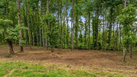 Lot 374 N Mountain Ridge Road Talking Rock GA 30175