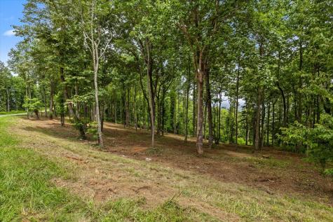 Lot 374 N Mountain Ridge Road Talking Rock GA 30175