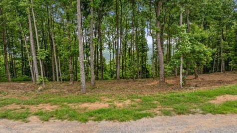 Lot 374 N Mountain Ridge Road Talking Rock GA 30175