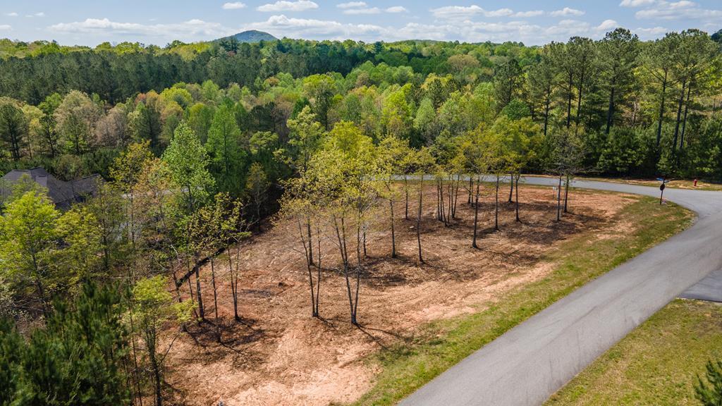 Lot 41 Sandy Lake Lane Blairsville GA 30512