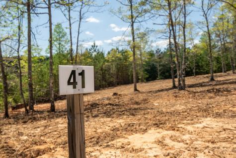 Lot 41 Sandy Lake Lane Blairsville GA 30512
