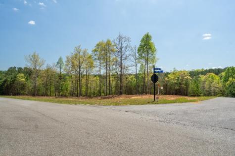 Lot 41 Sandy Lake Lane Blairsville GA 30512