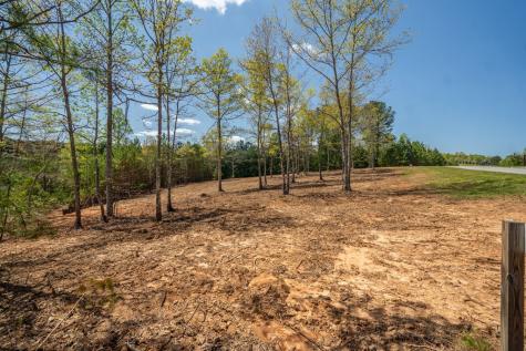 Lot 41 Sandy Lake Lane Blairsville GA 30512