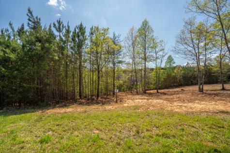 Lot 41 Sandy Lake Lane Blairsville GA 30512