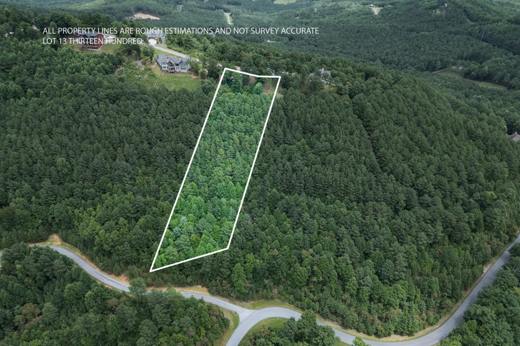 Lot 13 Thirteen Hundred Blairsville GA 30512