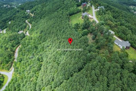 Lot 13 Thirteen Hundred Blairsville GA 30512