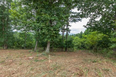 Lot 13 Thirteen Hundred Blairsville GA 30512