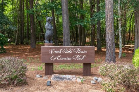 Lot 13 Thirteen Hundred Blairsville GA 30512