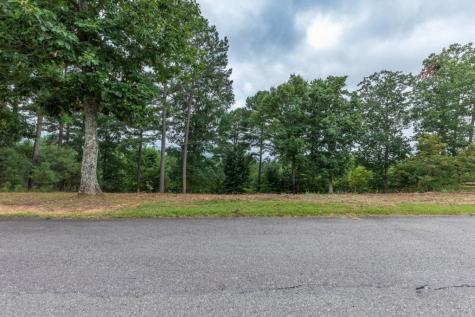 Lot 13 Thirteen Hundred Blairsville GA 30512
