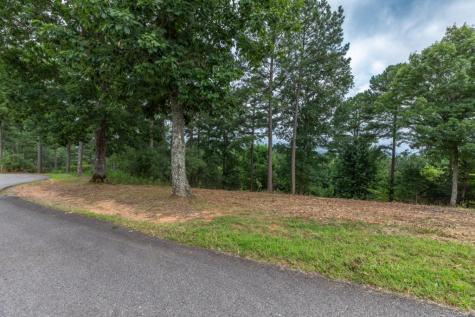 Lot 13 Thirteen Hundred Blairsville GA 30512