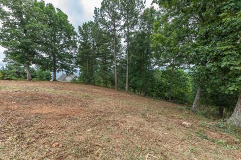 Lot 13 Thirteen Hundred Blairsville GA 30512