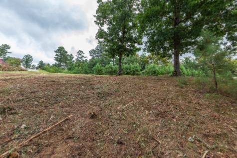 Lot 13 Thirteen Hundred Blairsville GA 30512
