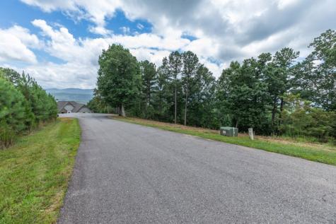 Lot 13 Thirteen Hundred Blairsville GA 30512