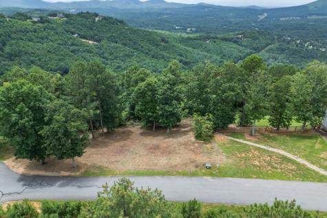 Lot 13 Thirteen Hundred Blairsville GA 30512