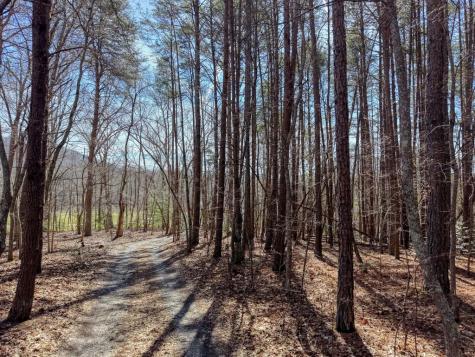 3.07 Acr Sunset Drive Blairsville GA 30512