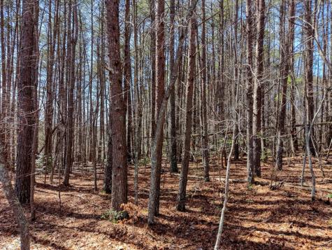 3.07 Acr Sunset Drive Blairsville GA 30512