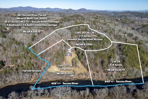 Lot 29 Toccoa River Forest Mineral Bluff GA 30559