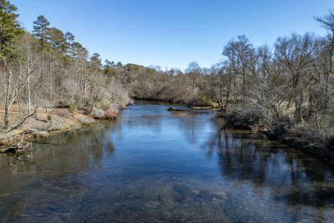Lot 29 Toccoa River Forest Mineral Bluff GA 30559