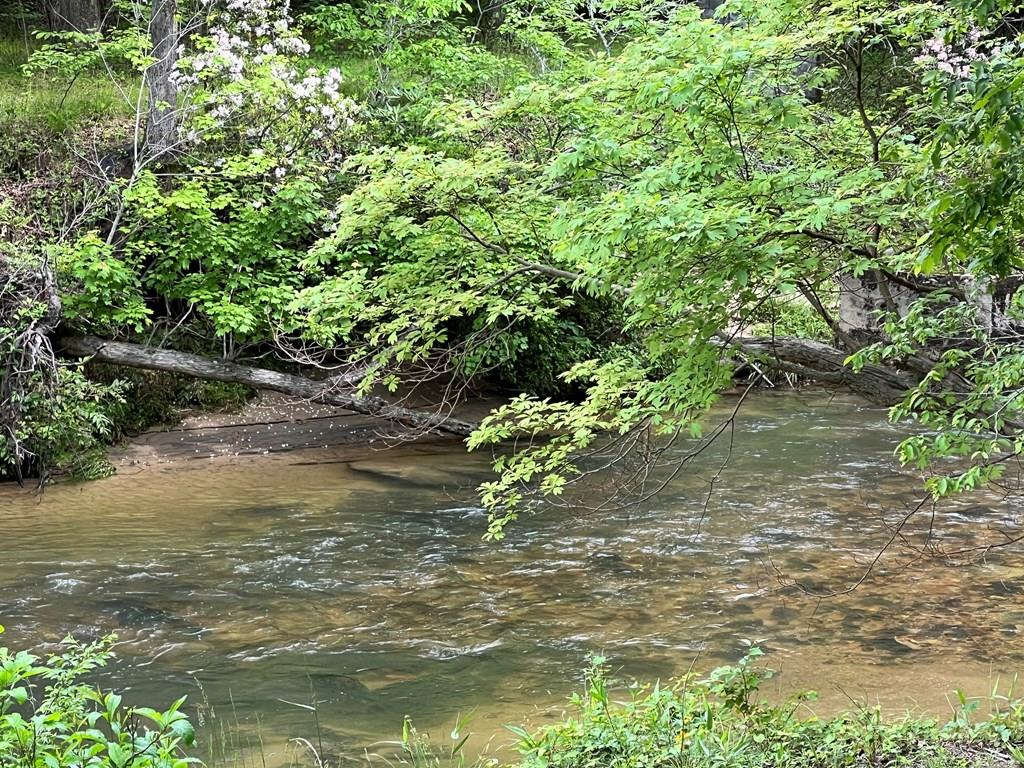 Lot 52 Madeline Way Blairsville GA 30512