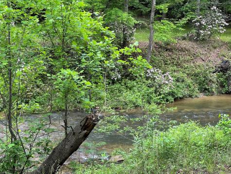 Lot 52 Madeline Way Blairsville GA 30512