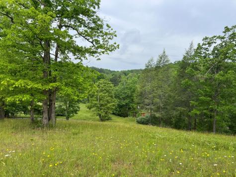 Lot 52 Madeline Way Blairsville GA 30512