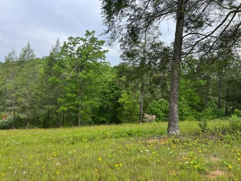 Lot 52 Madeline Way Blairsville GA 30512