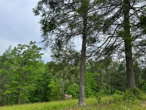 Lot 52 Madeline Way Blairsville GA 30512