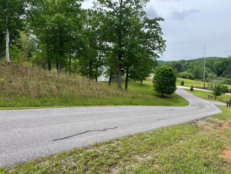 Lot 52 Madeline Way Blairsville GA 30512