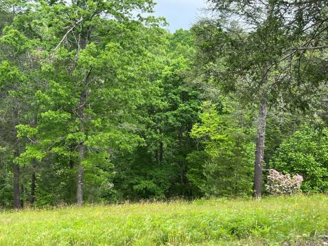 Lot 52 Madeline Way Blairsville GA 30512