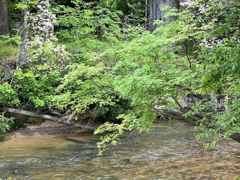 Lot 52 Madeline Way Blairsville GA 30512